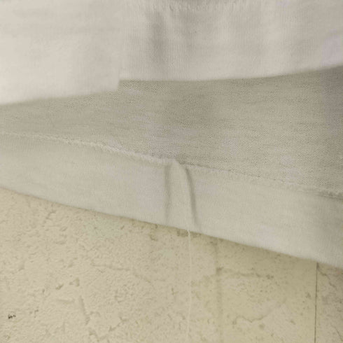 スクリーンスターズ SCREEN STARS USA製 80S プリント Tシャツ メンズ import:S